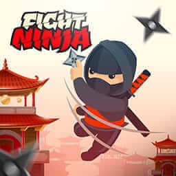 Fight Ninja



